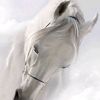 conscience7863