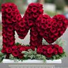 omnia.mohammed172
