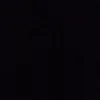 ari_x555