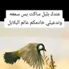 user81281802499