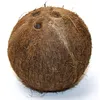 kokosnuss73536