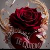 flaquita.caal969