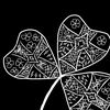 cloverwxrlds