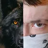 alphawolf3967