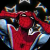 spidermam237