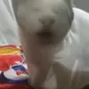 n_mthaoo