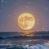 lylom79