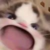 nguyennamgiabao7