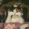 _sraboni.10