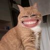 ci.miww6
