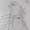 artisstt0