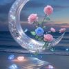 star.lioe