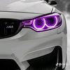 kingbmwbike2