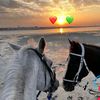 _bahar_34_34_