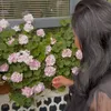 buildonlinewithcoco