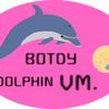 botdy.dolphin.vm