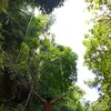 james.villamor.la