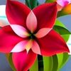 user7410660103786chikon