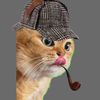 Shercat Holmes Junior