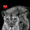 aytac_vaqifzade8