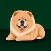 gingincutie