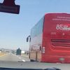 autobuses.alex