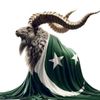 markhor.7864