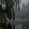 r_vishaaa