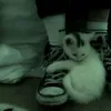 kystek_01