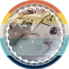 kittoicat