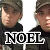 noel364846
