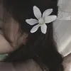 mikrob_1.4