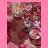 aestheticquee83