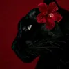 rahaf617719