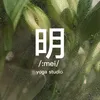 Mei Yoga Studio