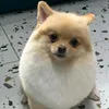 yomi.nguyn2