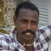 user74811224366178