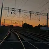 maja_dut