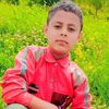 sumairshah7865