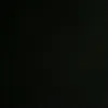 antonya_ant1