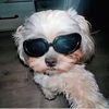 angelv20_he.y7