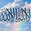 walid4985