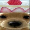 bakadoodle999