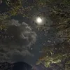 lilybee107