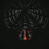 tanthrox_grayman3