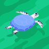turtle.bob7