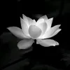 lequangvinh087226