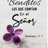 yorlenyreyes798