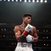 bxng.am (underrated am editor)