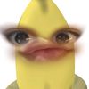 jen_o169